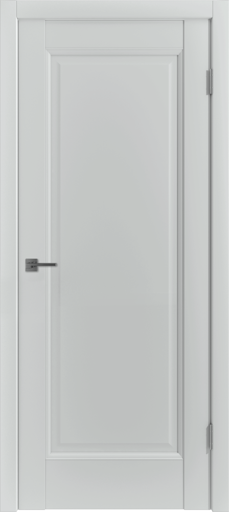 Дверь эмалекс E1 ДГ steel